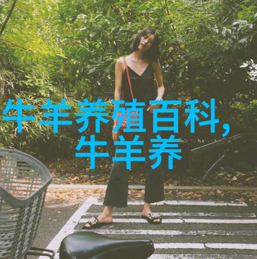 肉牛创伤性心包心肌炎防治