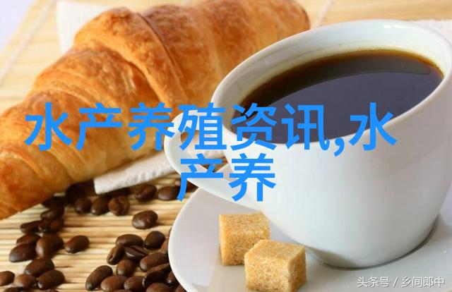 鲍鱼苗种的运输方法