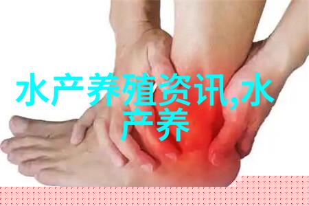 鲳鱼和金鲳鱼的区别